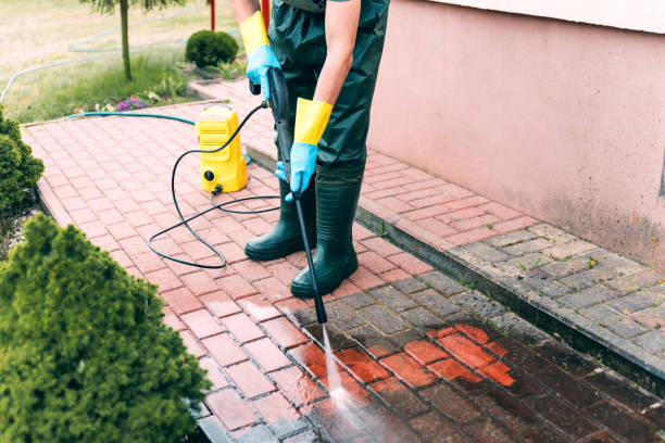Best Soft Washing  in Clton, IN